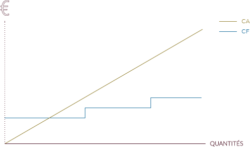 graph fixed expenses