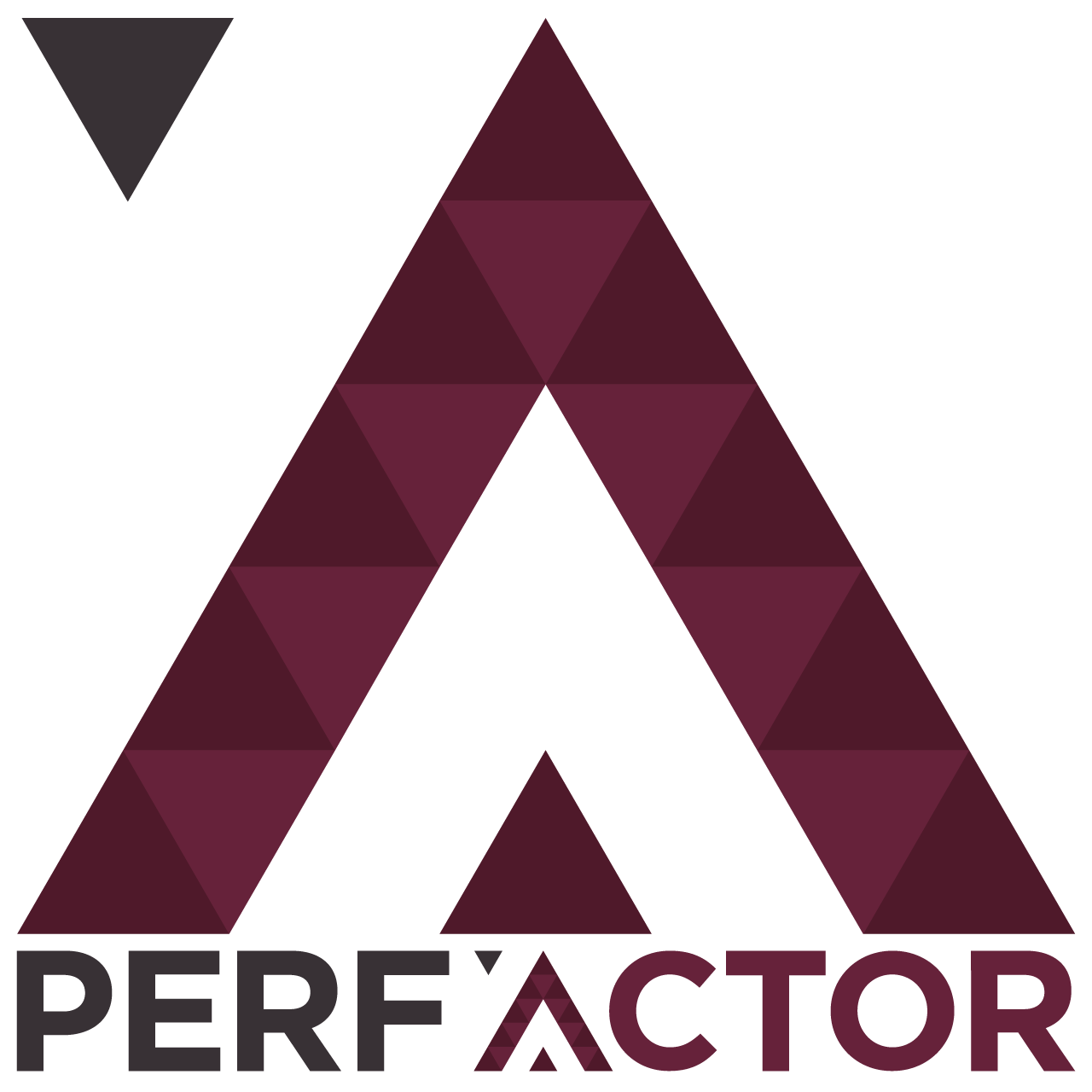 PERF'ACTOR logo