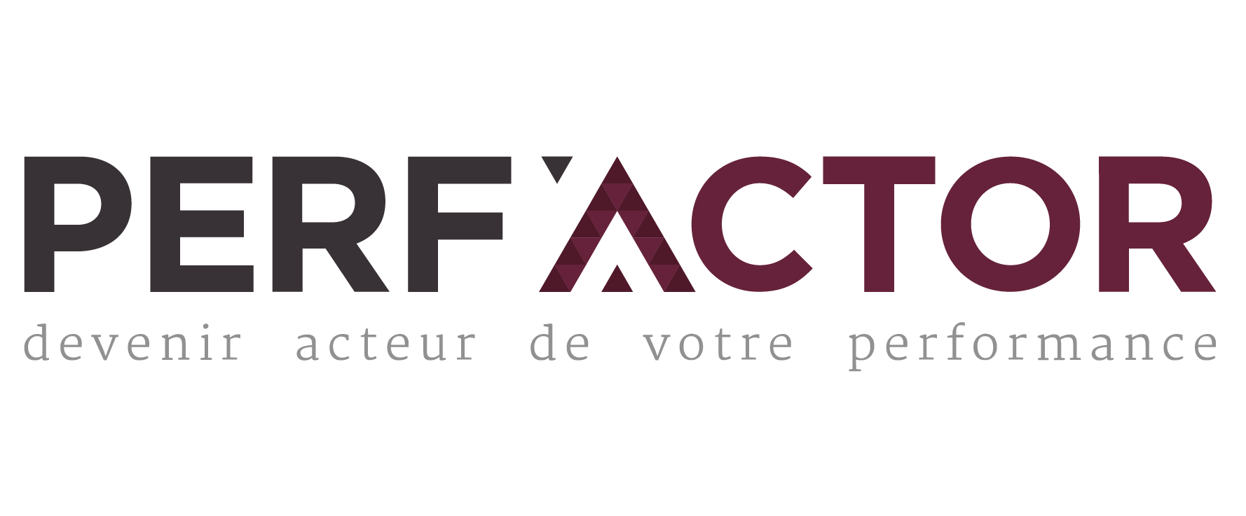 PERF'ACTOR | Performance, SI, Digital et Industrie 4.0 : Transformez votre business